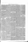 Brecon Reporter and South Wales General Advertiser Saturday 26 December 1863 Page 5