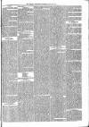 Brecon Reporter and South Wales General Advertiser Saturday 26 March 1864 Page 5