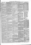 Brecon Reporter and South Wales General Advertiser Saturday 16 July 1864 Page 5