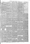 Brecon Reporter and South Wales General Advertiser Saturday 01 October 1864 Page 5