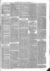 Brecon Reporter and South Wales General Advertiser Saturday 17 December 1864 Page 5