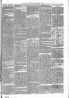 Brecon Reporter and South Wales General Advertiser Saturday 06 May 1865 Page 7