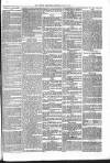 Brecon Reporter and South Wales General Advertiser Saturday 17 June 1865 Page 7