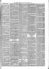 Brecon Reporter and South Wales General Advertiser Saturday 30 September 1865 Page 3