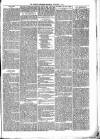 Brecon Reporter and South Wales General Advertiser Saturday 09 December 1865 Page 5