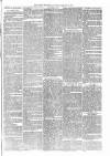 Brecon Reporter and South Wales General Advertiser Saturday 10 February 1866 Page 3