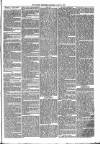 Brecon Reporter and South Wales General Advertiser Saturday 03 March 1866 Page 3