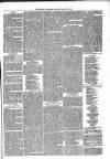 Brecon Reporter and South Wales General Advertiser Saturday 03 March 1866 Page 5