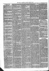 Brecon Reporter and South Wales General Advertiser Saturday 03 March 1866 Page 6