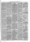 Brecon Reporter and South Wales General Advertiser Saturday 10 March 1866 Page 7
