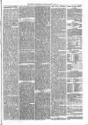 Brecon Reporter and South Wales General Advertiser Saturday 17 March 1866 Page 7