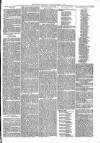 Brecon Reporter and South Wales General Advertiser Saturday 28 April 1866 Page 5