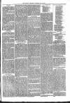 Brecon Reporter and South Wales General Advertiser Saturday 12 May 1866 Page 5