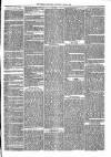 Brecon Reporter and South Wales General Advertiser Saturday 02 June 1866 Page 3