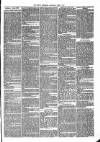 Brecon Reporter and South Wales General Advertiser Saturday 09 June 1866 Page 3