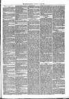 Brecon Reporter and South Wales General Advertiser Saturday 16 June 1866 Page 3
