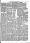 Brecon Reporter and South Wales General Advertiser Saturday 16 June 1866 Page 5