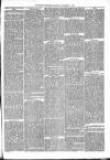 Brecon Reporter and South Wales General Advertiser Saturday 01 September 1866 Page 3