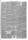 Brecon Reporter and South Wales General Advertiser Saturday 10 November 1866 Page 3