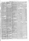 Brecon Reporter and South Wales General Advertiser Saturday 08 June 1867 Page 3