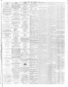Bristol Times and Mirror Saturday 14 April 1866 Page 5