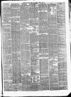 Bristol Times and Mirror Saturday 03 April 1875 Page 7