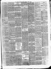 Bristol Times and Mirror Monday 19 April 1875 Page 3