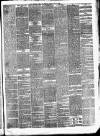 Bristol Times and Mirror Monday 03 May 1875 Page 3