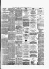 Bristol Times and Mirror Wednesday 05 April 1876 Page 7