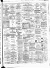 Bristol Times and Mirror Saturday 07 July 1877 Page 3