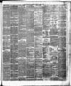 Bristol Times and Mirror Thursday 11 April 1878 Page 3
