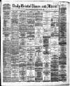 Bristol Times and Mirror Friday 09 August 1878 Page 1
