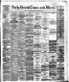 Bristol Times and Mirror Wednesday 14 August 1878 Page 1
