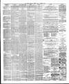 Bristol Times and Mirror Friday 05 December 1879 Page 4