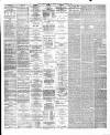 Bristol Times and Mirror Monday 08 December 1879 Page 2