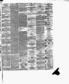 Bristol Times and Mirror Thursday 25 March 1880 Page 7