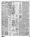 Bristol Times and Mirror Monday 01 August 1881 Page 2