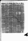 Bristol Times and Mirror Saturday 08 April 1882 Page 9