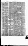 Bristol Times and Mirror Saturday 13 January 1883 Page 11