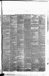 Bristol Times and Mirror Thursday 19 April 1883 Page 7