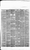 Bristol Times and Mirror Tuesday 24 April 1883 Page 7