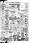 Bristol Times and Mirror Saturday 24 November 1883 Page 3