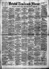 Bristol Times and Mirror Saturday 15 March 1890 Page 1