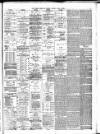 Bristol Times and Mirror Saturday 22 April 1893 Page 5