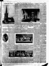 Bristol Times and Mirror Saturday 29 January 1910 Page 21