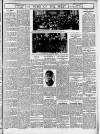 Bristol Times and Mirror Saturday 24 February 1917 Page 19