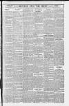 Bristol Times and Mirror Saturday 11 August 1917 Page 15