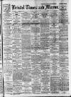 Bristol Times and Mirror Saturday 18 January 1919 Page 1