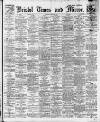 Bristol Times and Mirror Saturday 08 March 1919 Page 1