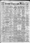 Bristol Times and Mirror Wednesday 02 July 1919 Page 1
